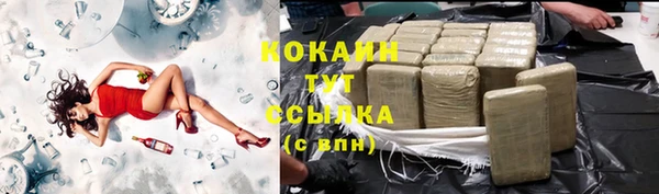 тгк Магас