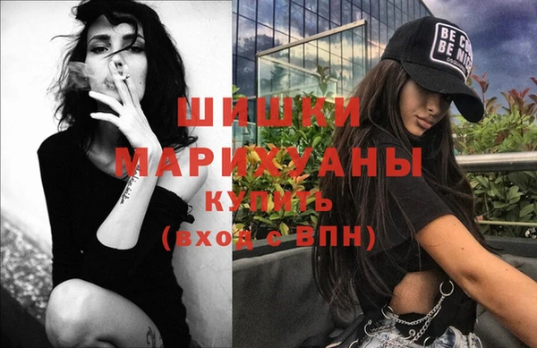 тгк Магас
