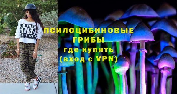 тгк Магас
