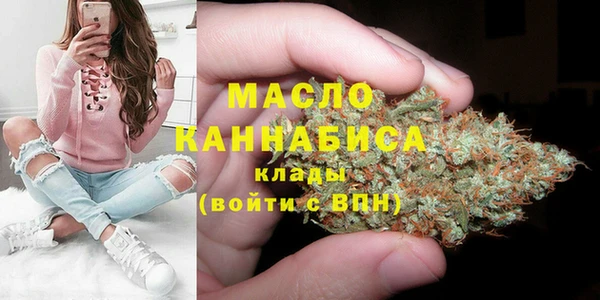 винт Мегион