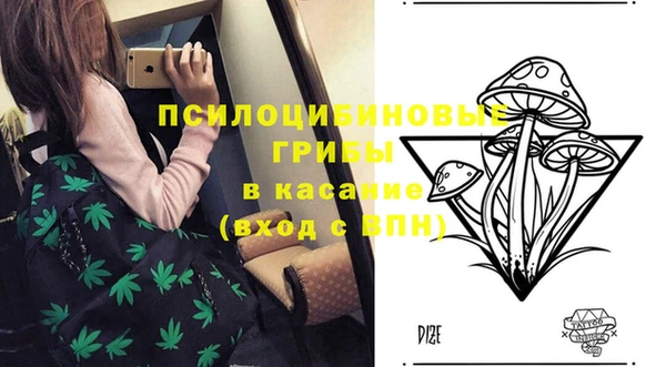 стаф Артём