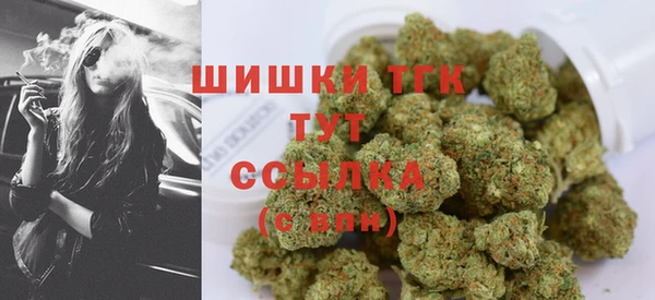 трава Медвежьегорск
