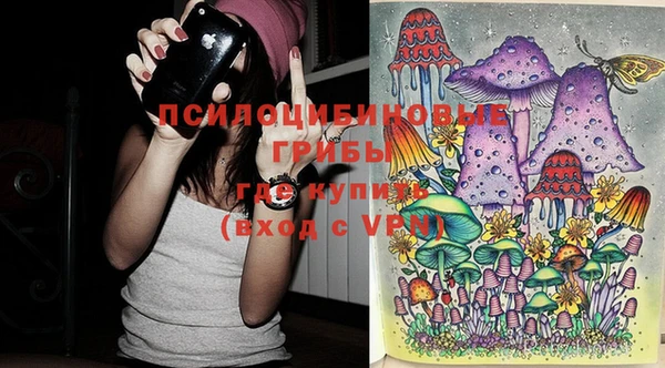 тгк Магас