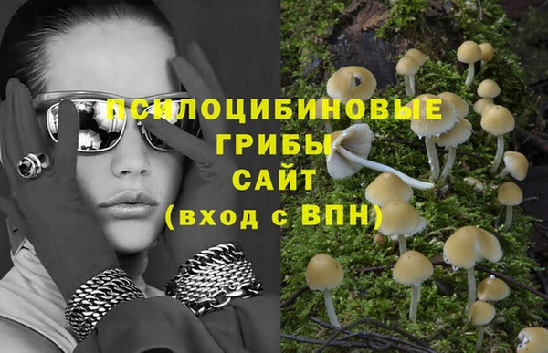 тгк Магас