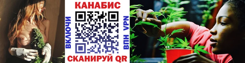 кракен ТОР  наркотики  Жуковка  Бошки марихуана тримм 